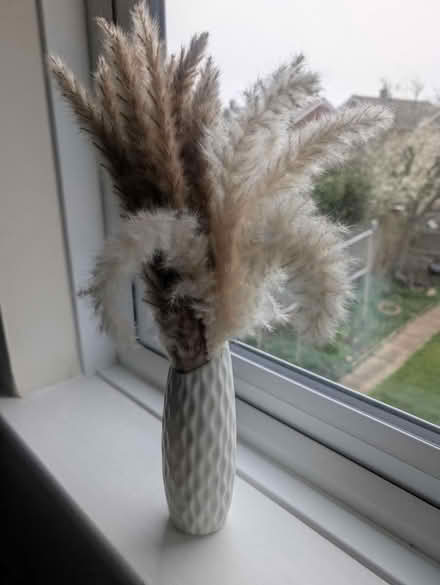 Photo of free Plastic vase with dried flowers (Abingdon, OX14 3TD) #1