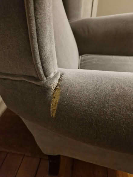 Photo of free Occasional chairs (Chester, CH2) #3