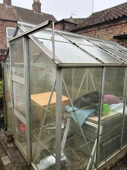 Photo of free Medium size Greenhouse (YO256SU) #2