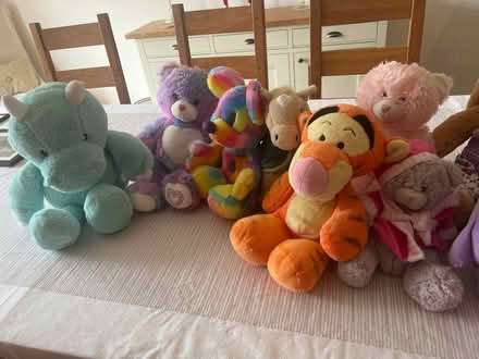 Photo of free Soft toys (Putloe GL2) #2