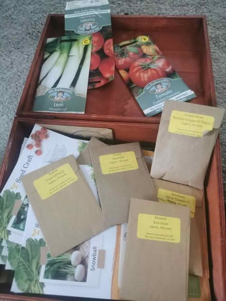 Photo of free Seeds, vegetables, gardening (Sutton Coldfield B74) #2