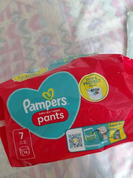 Photo of free Baby-dry nappy Pants (Hingham NR9) #3