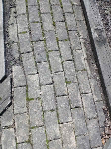 Photo of free Brick pavers (Bolingbrook) #3