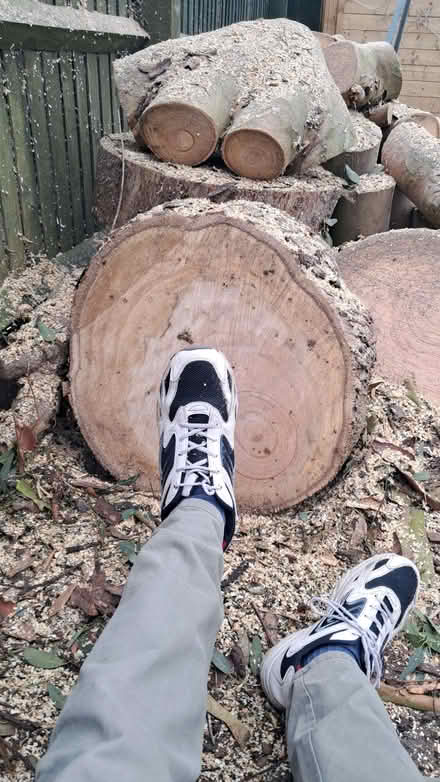 Photo of free Wooden logs (Cowley OX4) #2