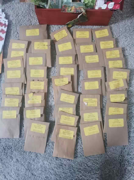 Photo of free Seeds, vegetables, gardening (Sutton Coldfield B74) #3