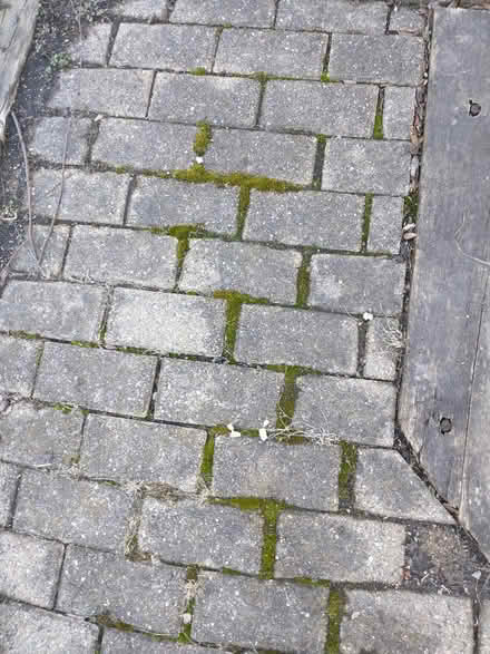 Photo of free Brick pavers (Bolingbrook) #1
