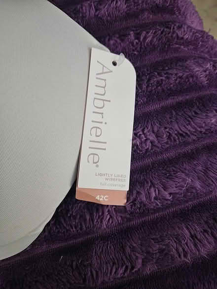 Photo of free New bra (Himes Ave area Frederick) #3