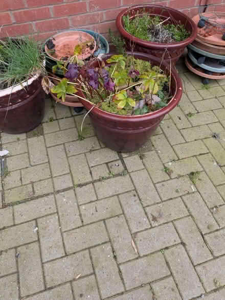Photo of free Patio planters (B67 Smethwick) #3