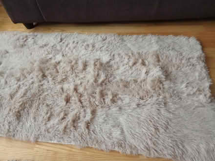 Photo of free Fluffy rug (Willesborough) #1