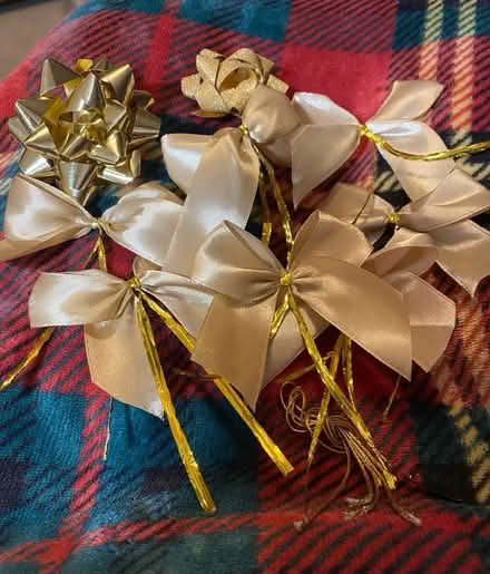 Photo of free bows (Haywards Heath RH16) #1