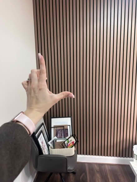 Photo of free Wall Panel (HA9) #2