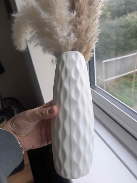 Photo of free Plastic vase with dried flowers (Abingdon, OX14 3TD) #3