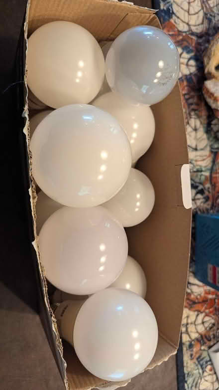 Photo of free Miscellaneous Light bulbs (Bellevue Bridle Trails area) #1