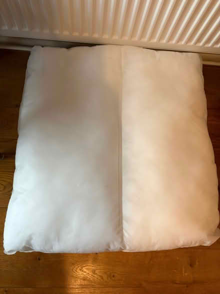 Photo of free 3 cushion inserts (very large squares) (Duffield DE56) #1