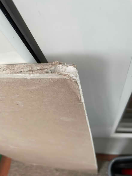 Photo of free Plasterboard offcut (Broadwindsor DT83) #1