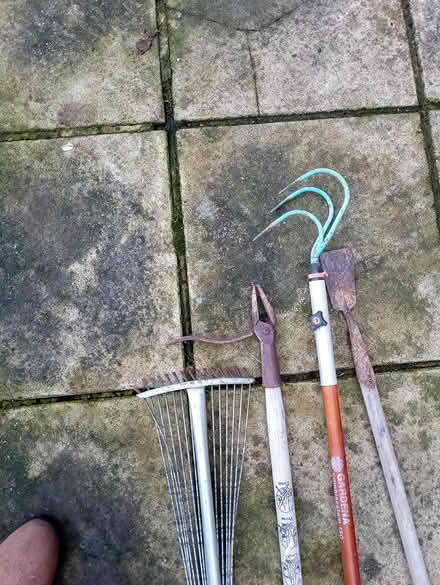 Photo of free Gardening tools various (Folksworth PE7) #1