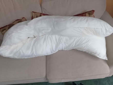 Photo of free Maternity Pregnancy Pillow (Waterlooville PO8) #1