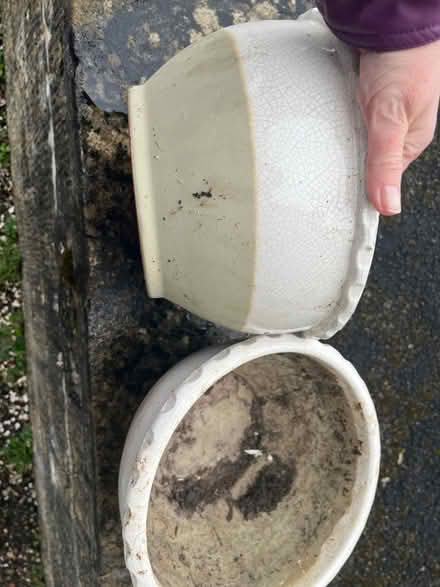 Photo of free Planters (Fairfield Park) #1