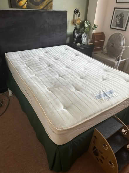 Photo of free Double divan bed (Barham CT4) #1
