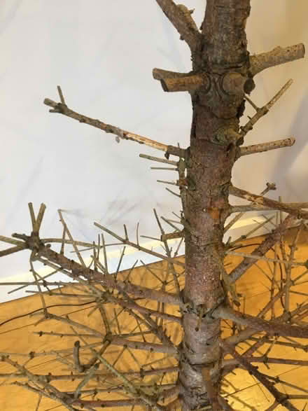 Photo of free Woodwork project/firewood? (Altrincham 2DP) #2