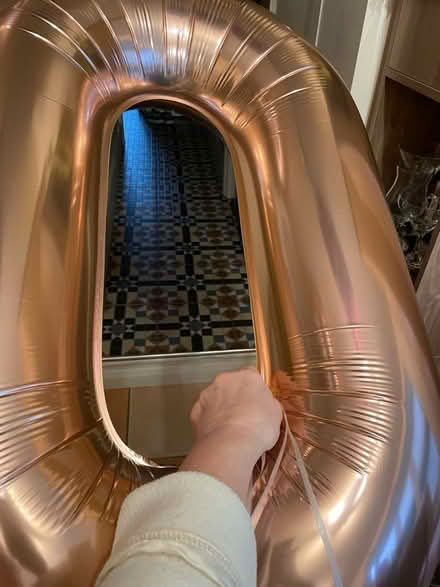 Photo of free Rose Gold Inflated Helium Balloons (CT11) #2