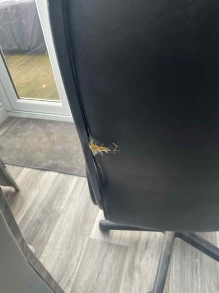 Photo of free Computer Chair (Kingsley Park) #2