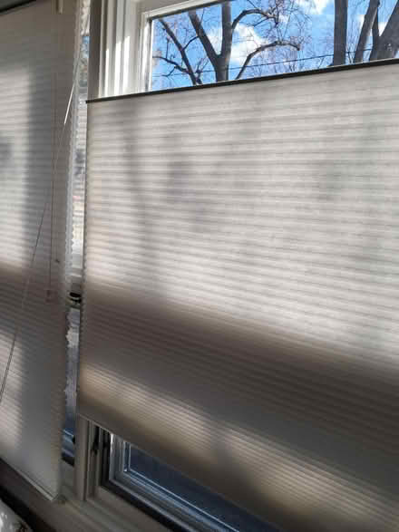 Photo of free White Cellular blind 41" w x 48" l (Near 55th & Rt. 83) #1