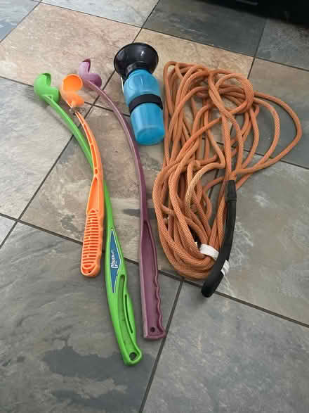 Photo of free Dog stuff (Northlands Wood) #1