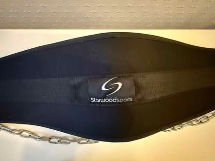 Photo of free Gym belt with chain - dips/pull ups (Salford M30) #2