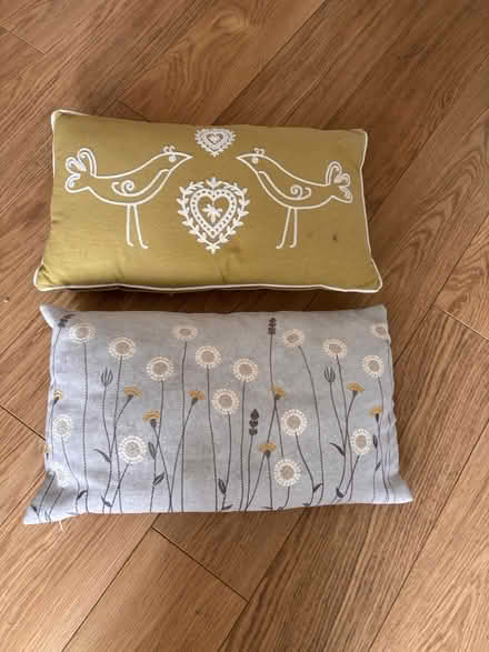 Photo of free X2 cushions (Kings Hill ME19) #1