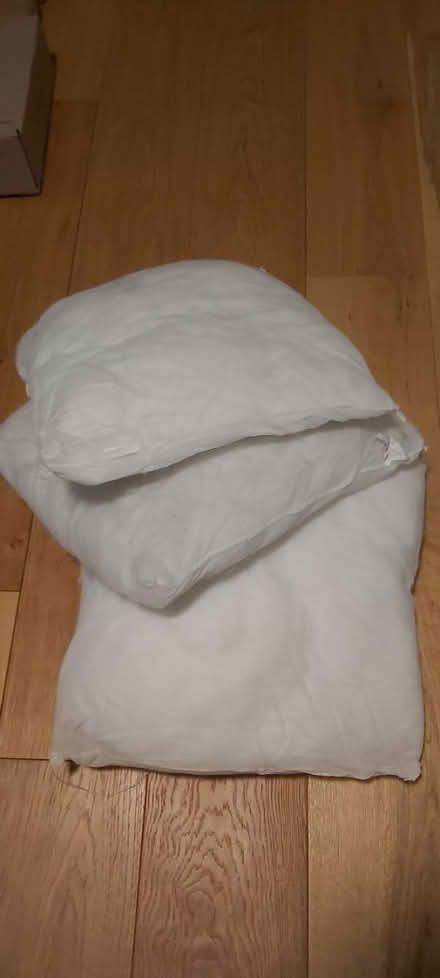 Photo of free 3 x cushion inserts (Lincoln LN1) #1