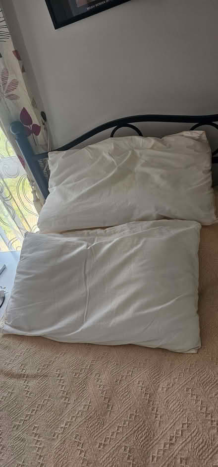 Photo of free Pillows (Beswick M11) #1