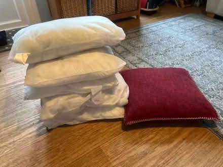 Photo of free 6 x cushion pads 1x with cover (Corsham SN13) #1
