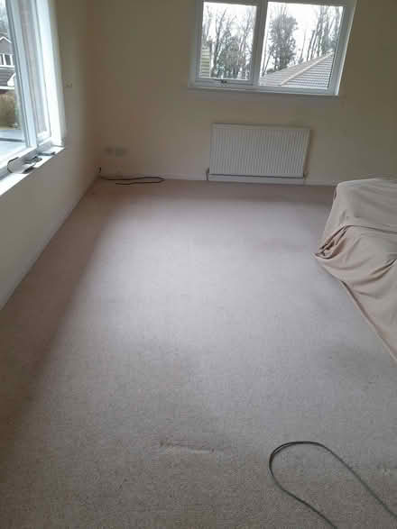 Photo of free Carpet (Bridge of Allan FK9) #3