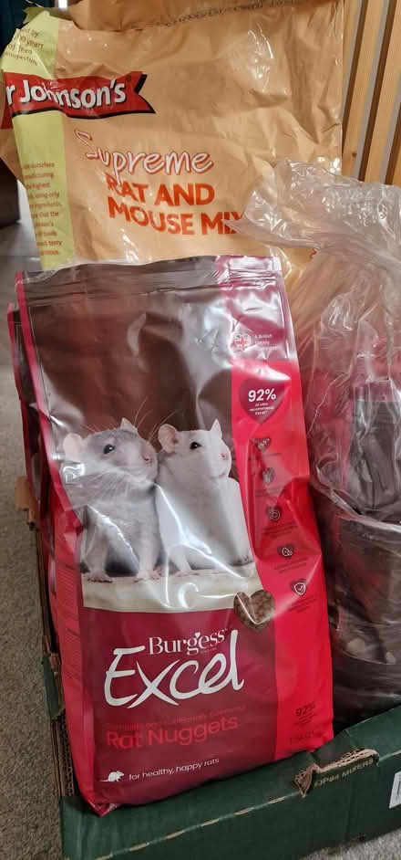 Photo of free Rat food / rat nuggets (Thrupp GL5) #1