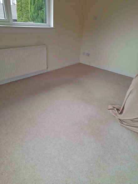 Photo of free Carpet (Bridge of Allan FK9) #4