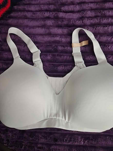 Photo of free New bra (Himes Ave area Frederick) #1