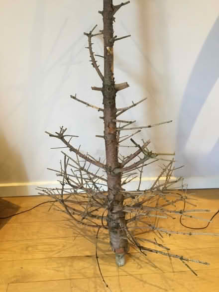 Photo of free Woodwork project/firewood? (Altrincham 2DP) #1