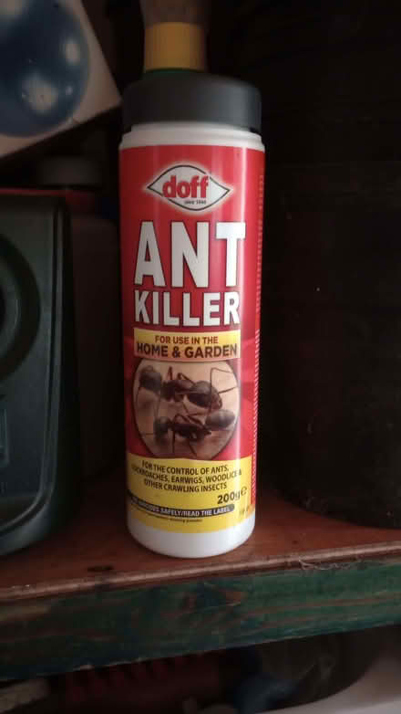 Photo of free Ant killer (Wells Road) #1