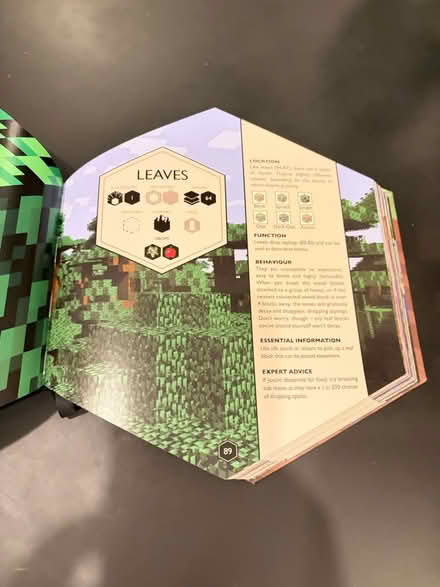 Photo of free Minecraft book (Reading RG2) #3