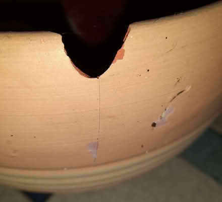 Photo of free Ceramic plant pot (Alvaston DE24) #3