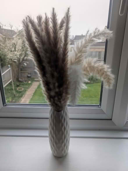 Photo of free Plastic vase with dried flowers (Abingdon, OX14 3TD) #2