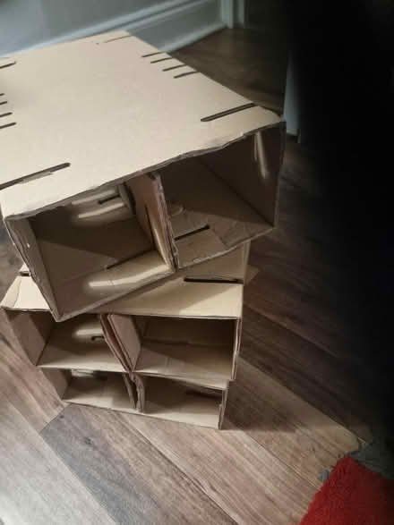 Photo of free Cardboard 6 division wine divider (stroud green N4) #2