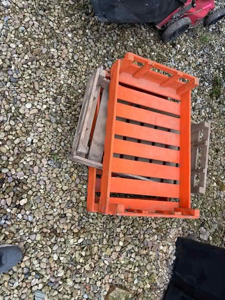 Photo of free Old apple crates (Bramley LS13) #1