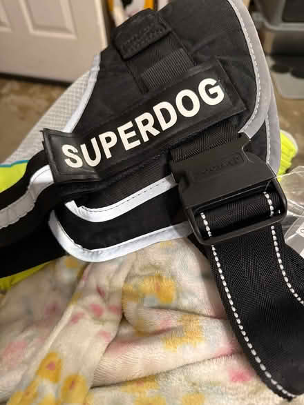 Photo of free dog harness (Long ditton) #1