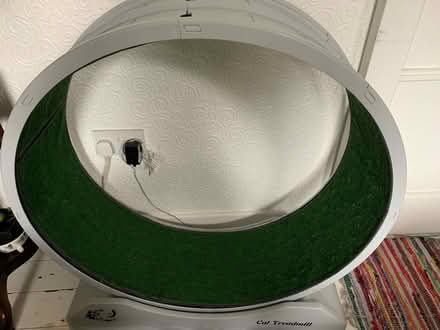 Photo of free Cat Treadwheel (Pleasley, Mansfield NG19) #1