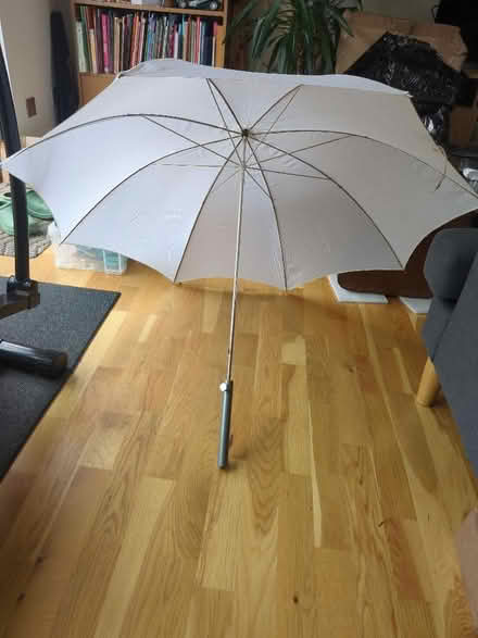 Photo of free White photography umbrella. (Norbiton KT3) #1