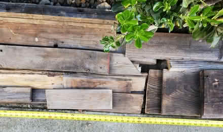 Photo of free Scrap lumber (Cupertino) #3