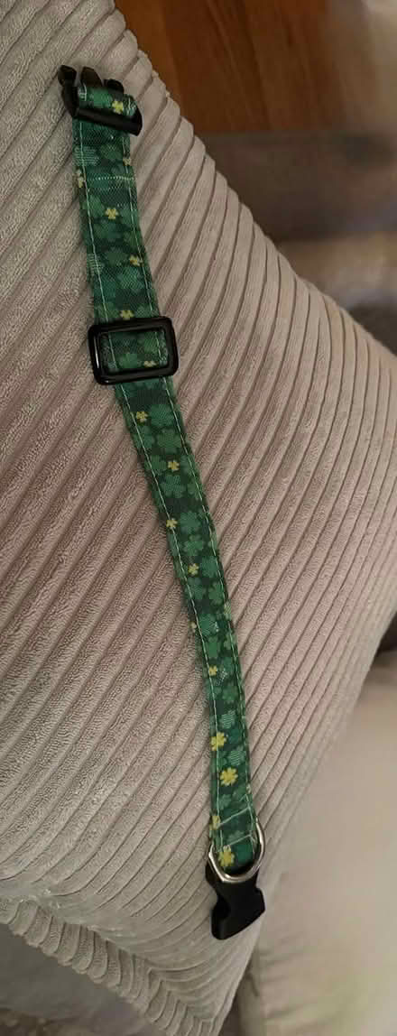 Photo of free St. Patrick's Day Dog Collar (Elmhurst by York High School) #2