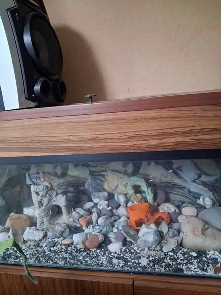 Photo of free Fish tank (Widcombe, Bath) #1